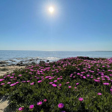 Home Salento 1 Торре-Вадо Экстерьер фото
